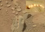 На Марсе обнаружили череп травоядного динозавра