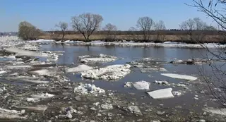 Места таяния снега в Костанайской области отслеживают по снимкам из космоса