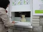 Подкидыша в Ставрополе назвали Владимир Крымов