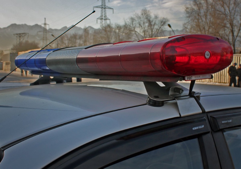 Фото © Николай Колесников