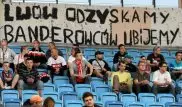 Польские фанаты на матче с Украиной пригрозили отобрать Львов
