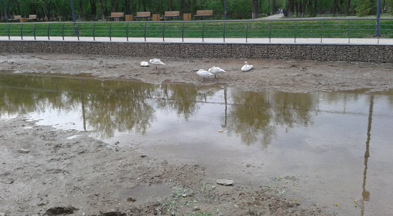 Фото Ренат Ташкинбаев