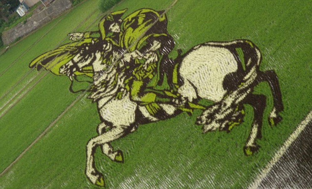 Удивительные рисовые поля Японии: 2015-05-25 15:24:35 - прочитайте