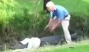Гольфист едва не погиб при попытке отнять мяч у аллигатора