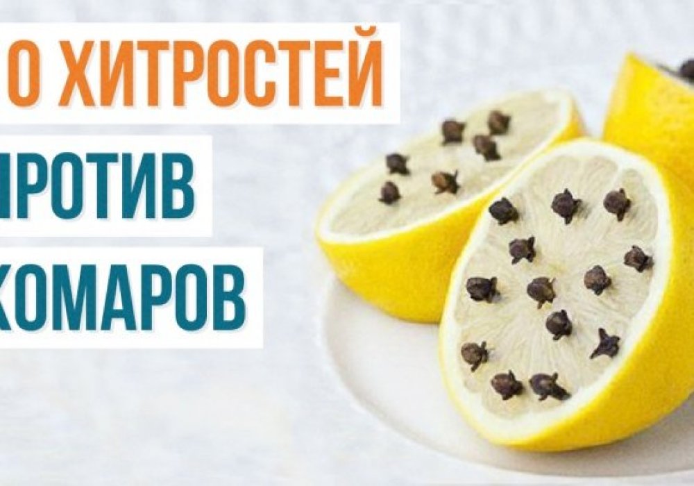 Как бороться с комарами и их укусами: 2015-06-26 07:14:32 - прочитайте