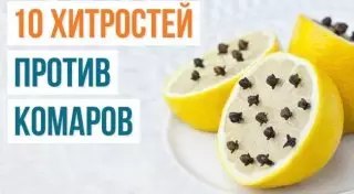Иллюстрация AdMe.ru