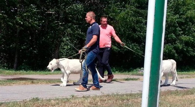 Фото с сайта yk.kz