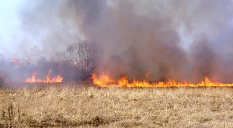 Фото с сайта nk-tv.net