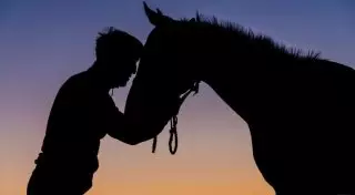 Древнейшей породой домашних лошадей названа казахская