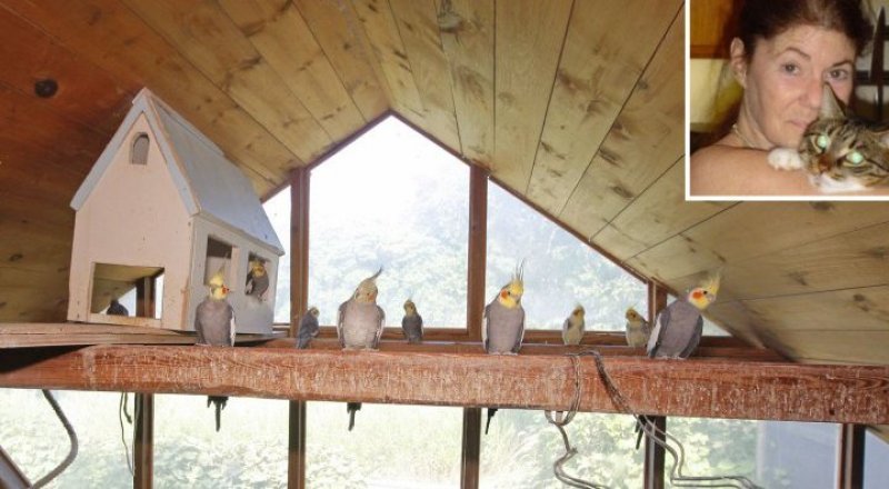 Лесли Анн Мандел. Фото: VictorAlcorn.com