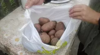 Оскорбленная "подарком" костанайская пенсионерка оказалась "фейком"