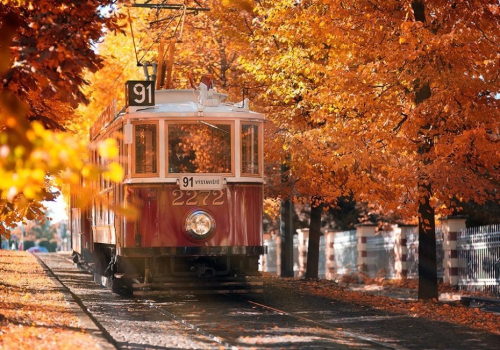 Места, где осень особенно прекрасна: 2015-10-08 05:00:21 - прочитайте