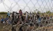 Болгария, Сербия и Румыния готовы закрыть границы от беженцев