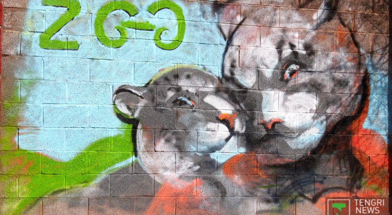 ©Айжан Тугельбаева