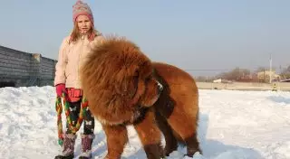 Фото bigpicture.ru