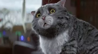 Cамое милое рождественское видео