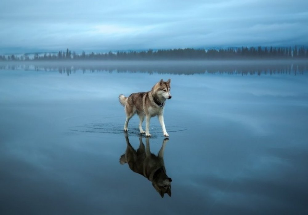 15 фотографий, на которых реальность круче фотошопа: 2015-11-26 17:44:53 - прочитайте