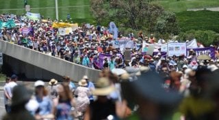 Фото Graham Tidy. С сайта http://www.canberratimes.com.au