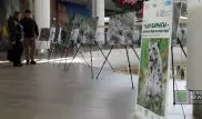 В Алматы открылась фотовыставка "Снежный барс - исчезающая легенда"