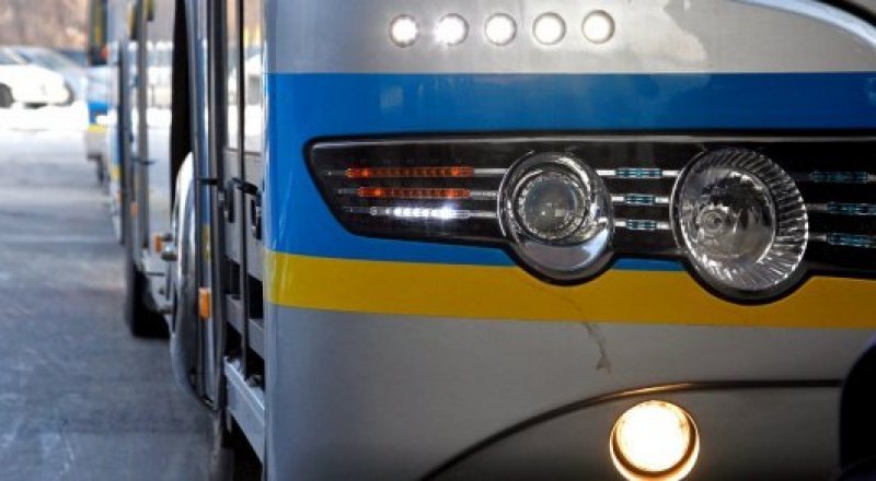 Фото © Николай Колесников