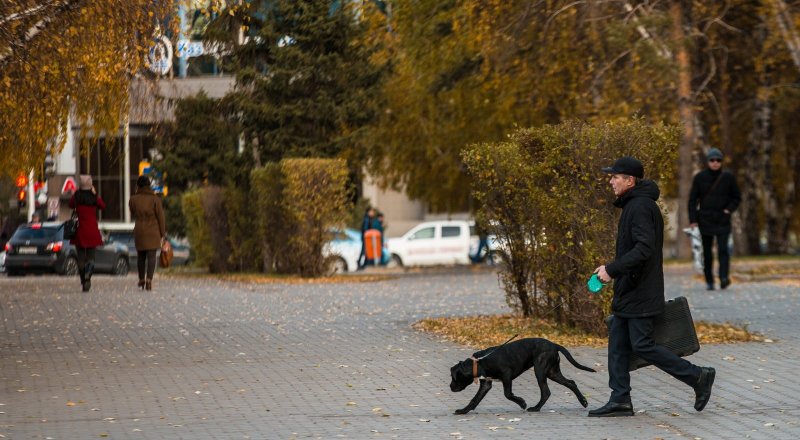 Фото Турар Казангапов ©
