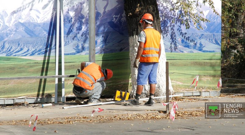 Фото © Николай Колесников