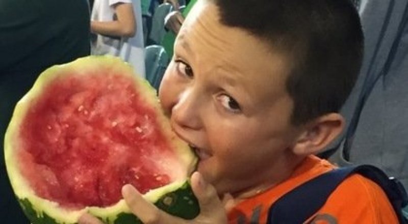 Фото: @theschibecsta / Twitter