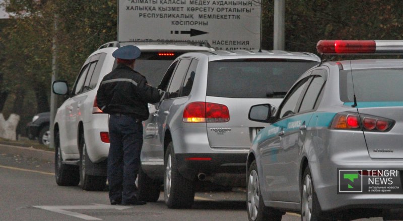 Фото © Николай Колесников