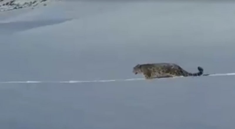 Кадр из видеоролика Facebook