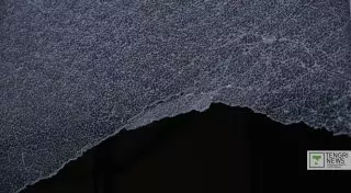 Автоледи погибла после лобового столкновения с автобусом в Акмолинской области