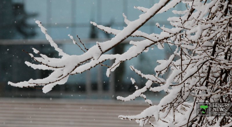 Фото © Николай Колесников