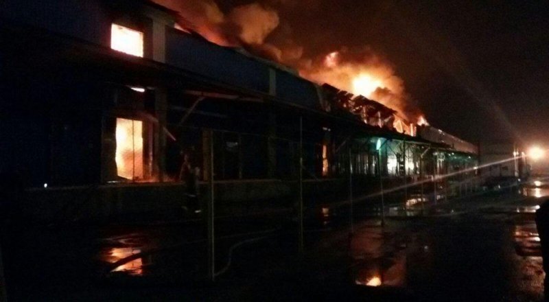 Фото ДЧС Алматинской области