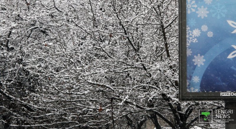 Фото © Николай Колесников