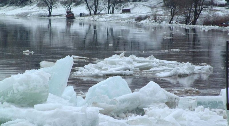 Фото с сайта admlesnoy.ru