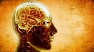 Мозг человека может вместить в себя весь Интернет - ученые