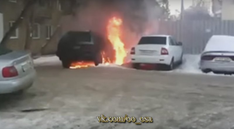 Кадр из видеоролика ОО ОСА/YouTube