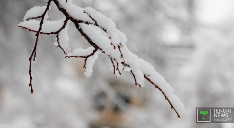 Фото © Николай Колесников