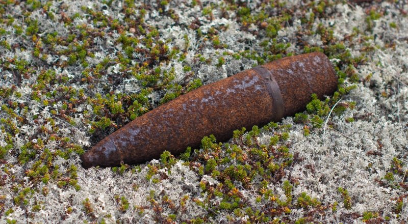 Фото с сайта ivlev.org