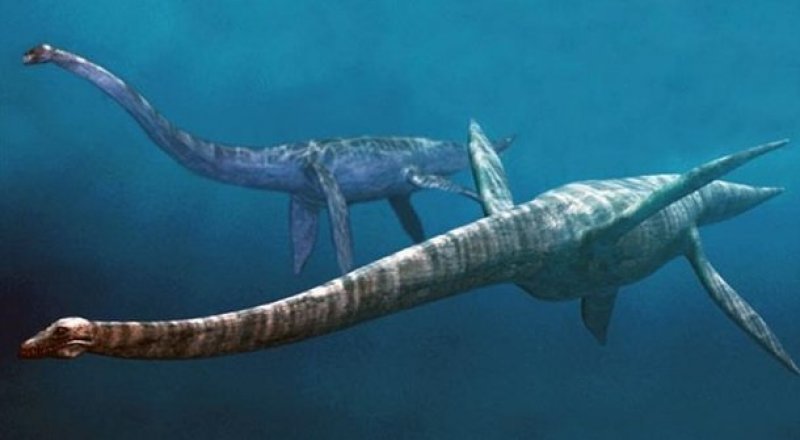 Фото с сайта korrespondent.net