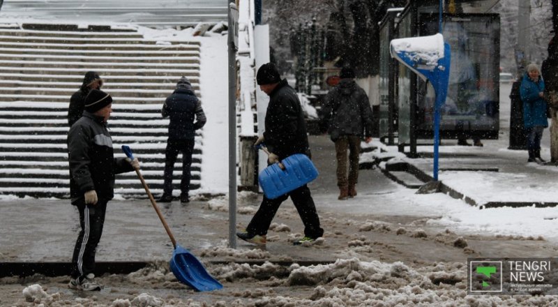 Фото © Николай Колесников