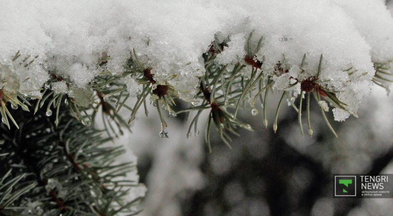 Фото © Николай Колесников