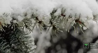 Снег и метели ожидаются в выходные дни в Казахстане