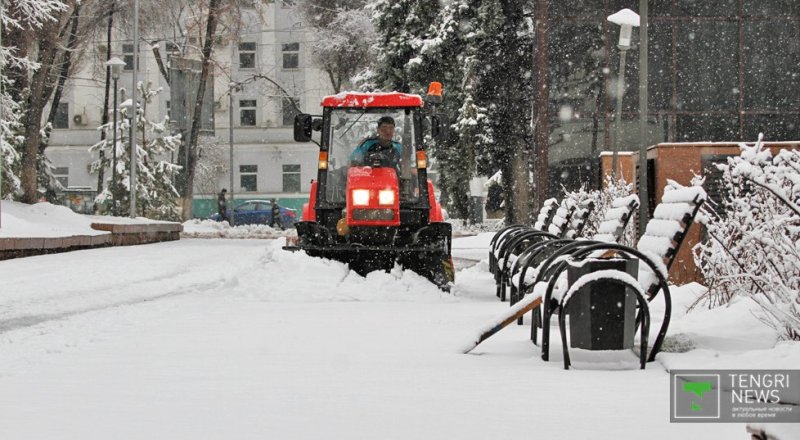 Фото © Николай Колесников