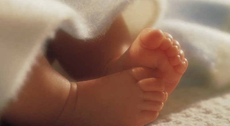 Фото с сайта 