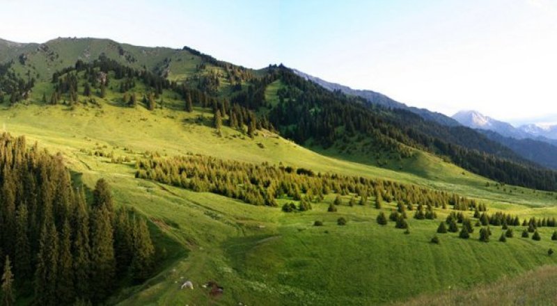 Кок Жайляу. Фото с сайта k-zh.kz