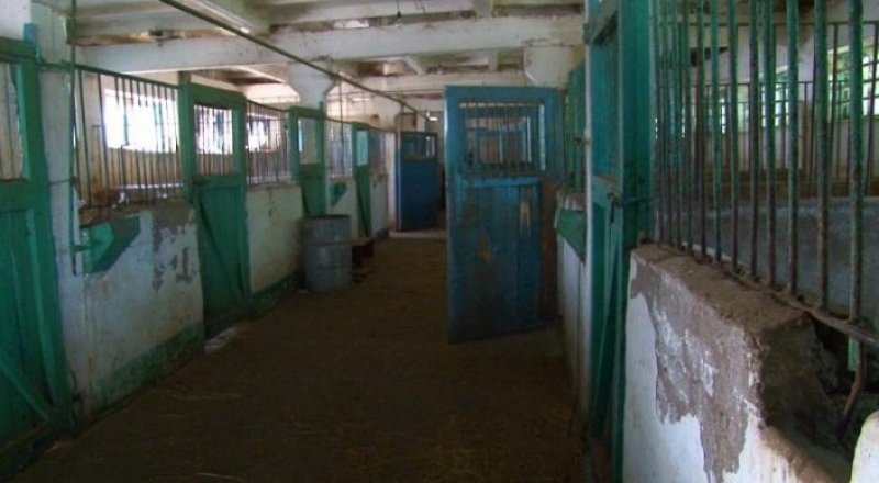 Старые конюшни ипподрома Алматы.
Кадр с видео TengrinewsTV