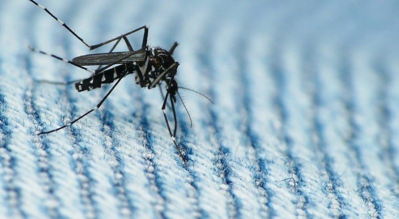 Фото с сайта polit.ru