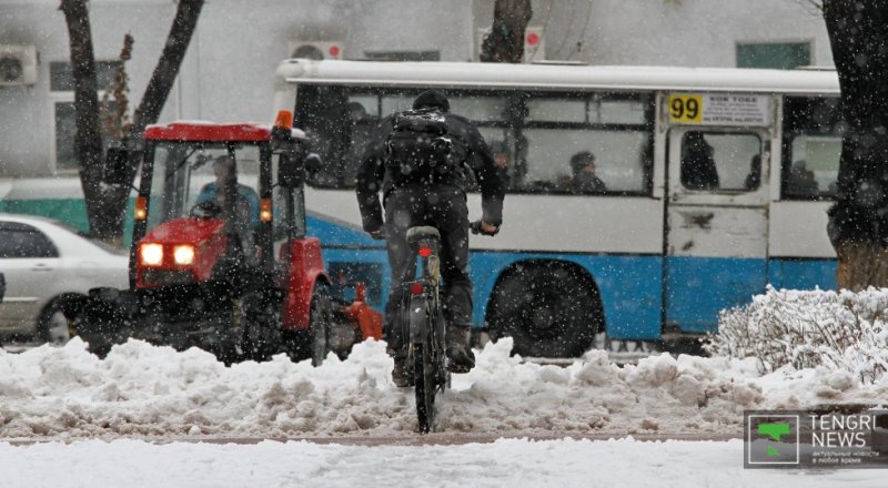 Фото © Николай Колесников