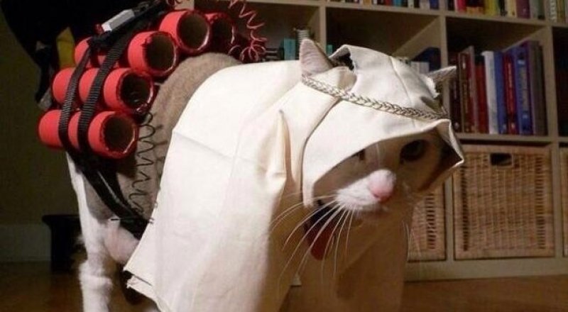 Иллюстративное фото с сайта pikabu.ru