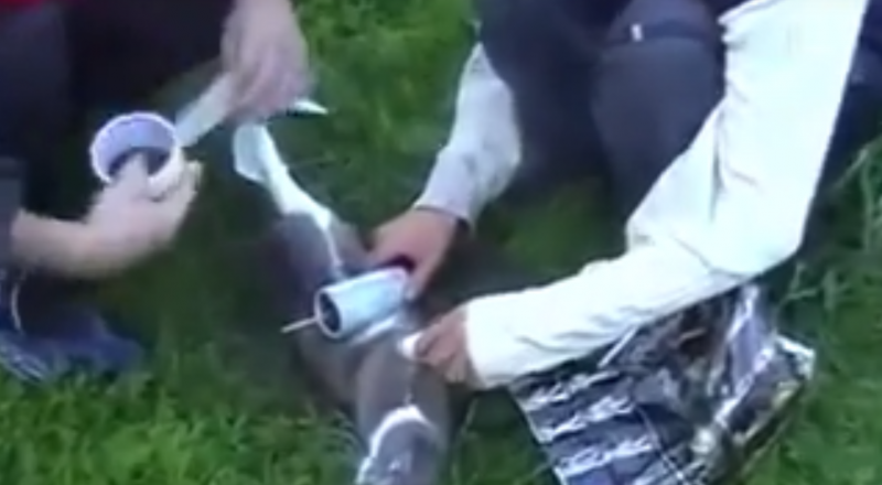 Кадр видео Youtube.com.